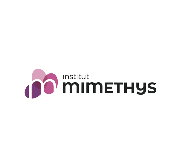 Mimethys